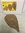 15-20cm 10 Stück Seemandelbaumblätter