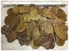 06-09cm 50Gramm Seemandelbaumblätter