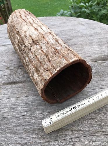 Mahagoni Riesenrindenröhre 20-30 cm lang, Ø 10 cm